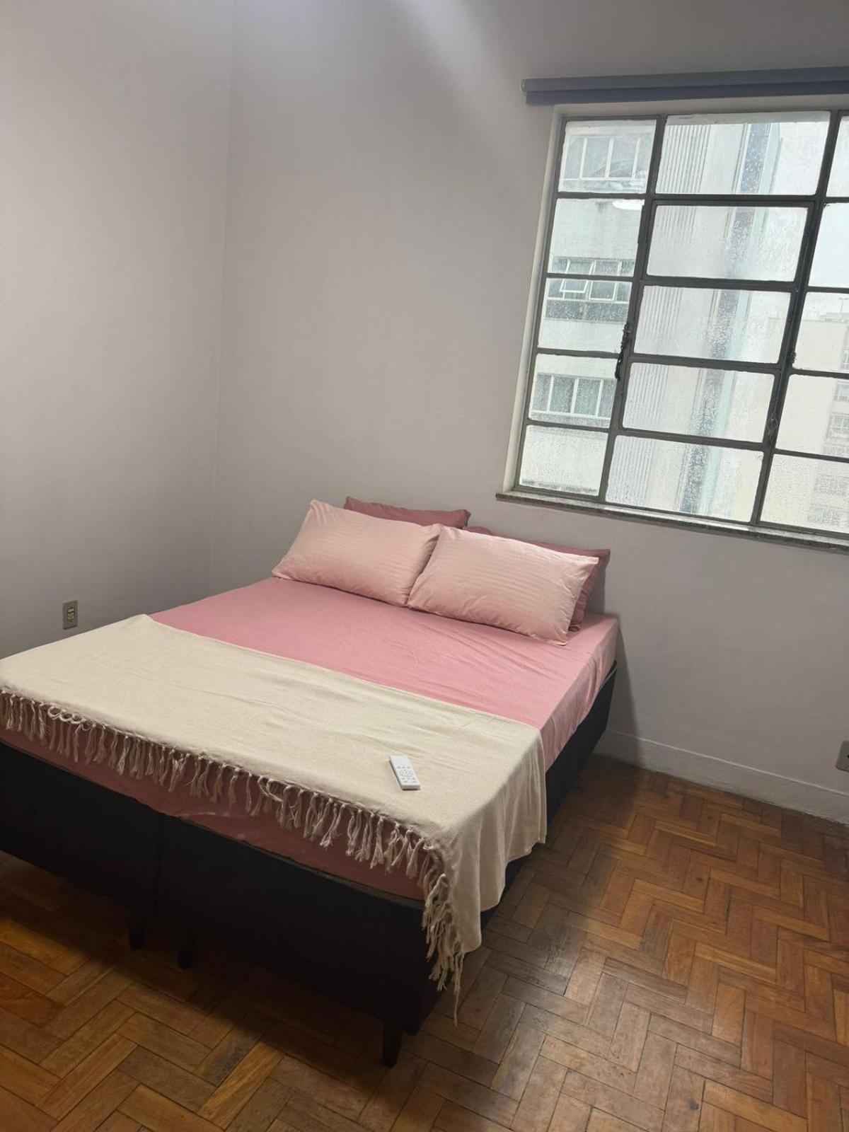 Centro, Apto Inteiro, Rua Sao Paulo Com Afonso Pena Apartment